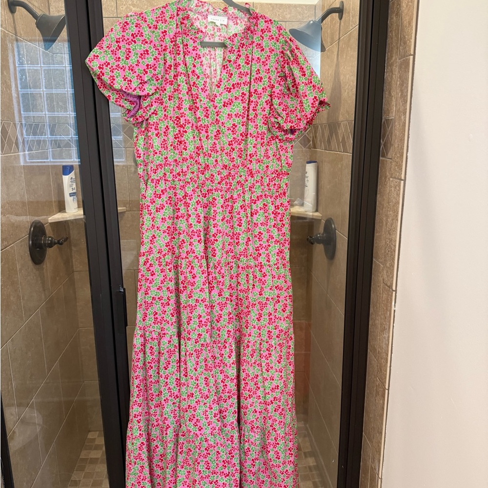 Entro Pink and Green Floral Dress